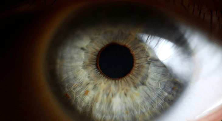 A Look at the Human Eye 65b804bc1ed1d.png